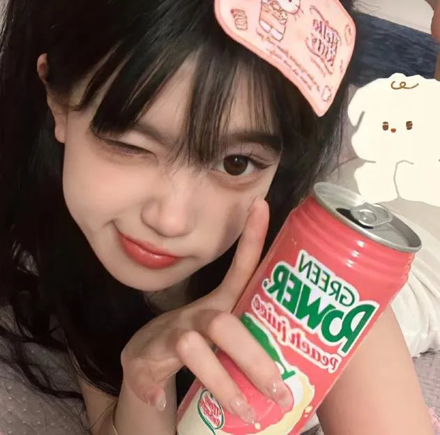 一只小蜘蛛