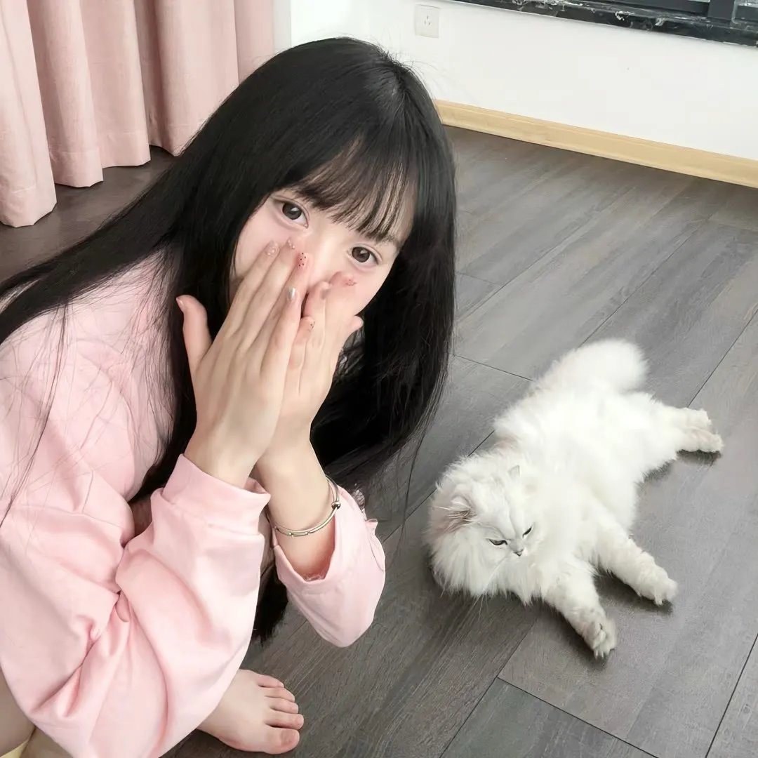 银狐传说